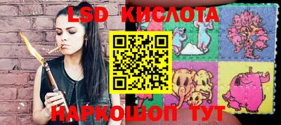 Альфа ПВП Кандалакша