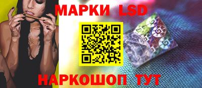 Альфа ПВП Кандалакша
