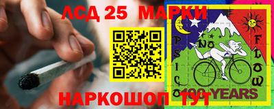 Альфа ПВП Кандалакша