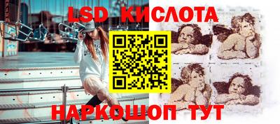 Альфа ПВП Кандалакша