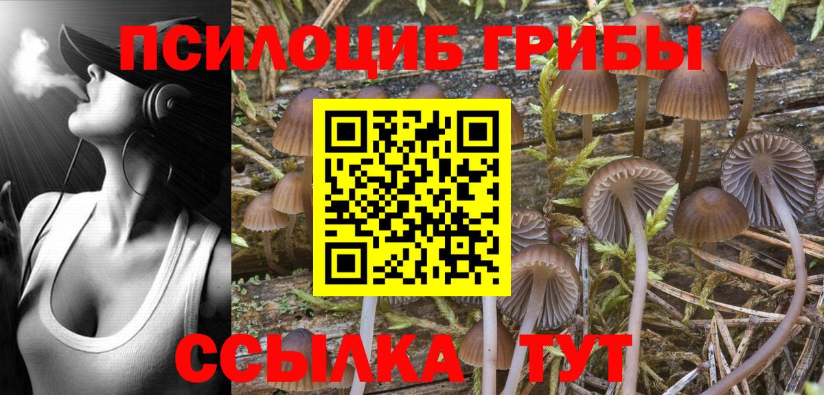Псилоцибиновые грибы прущие грибы  Псилоцибиновые грибы Cubensis  Кудымкар  Вход с VPN 
