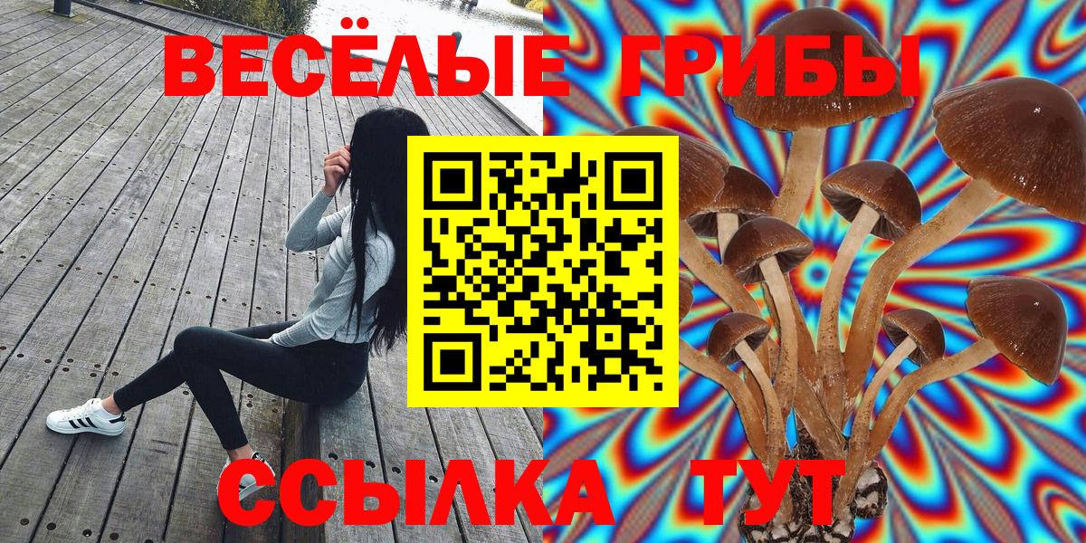 Галлюциногенные грибы мухоморы Кудымкар